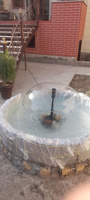 Фантан ландшафтный.