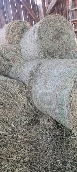Baloți de fân otavă și lucernă
