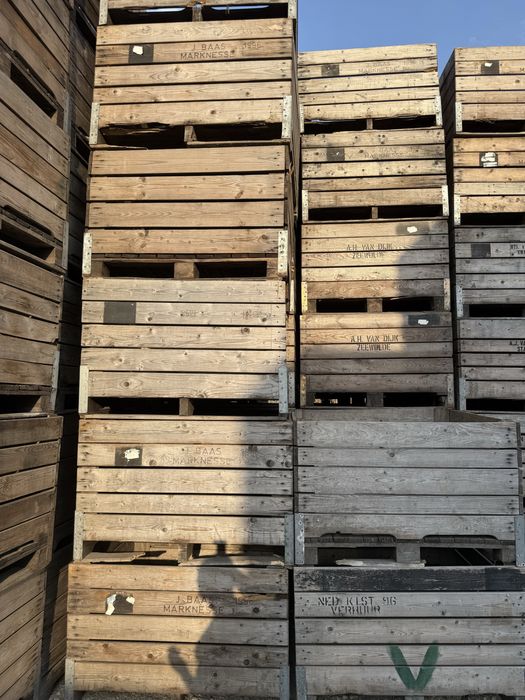 Boxpaleti , containere fructe , lazi lemn