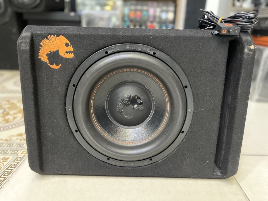 DL audio piraniya sotiladi