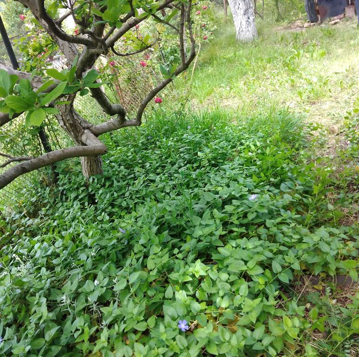 Продава се Къща в Елин Пелин - 40 кв.м за 1125 €/кв.м - Снимка #1