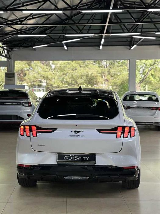 ford mustang pad zakaz