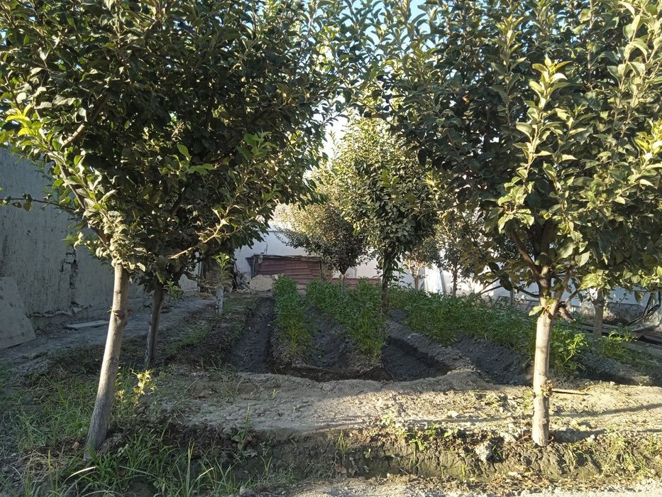 KOTEJ SOTILADI hamma sharoit bor