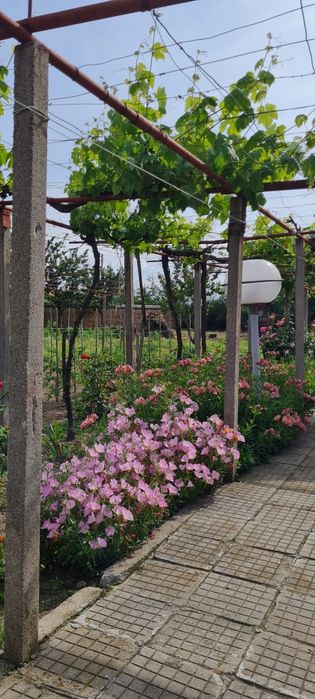 Дава се под наем Къща в София, в.з. Бояна - 89 кв.м за 193.8 € - Снимка #1