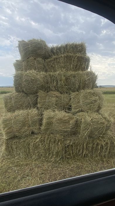 Сено сено сено.