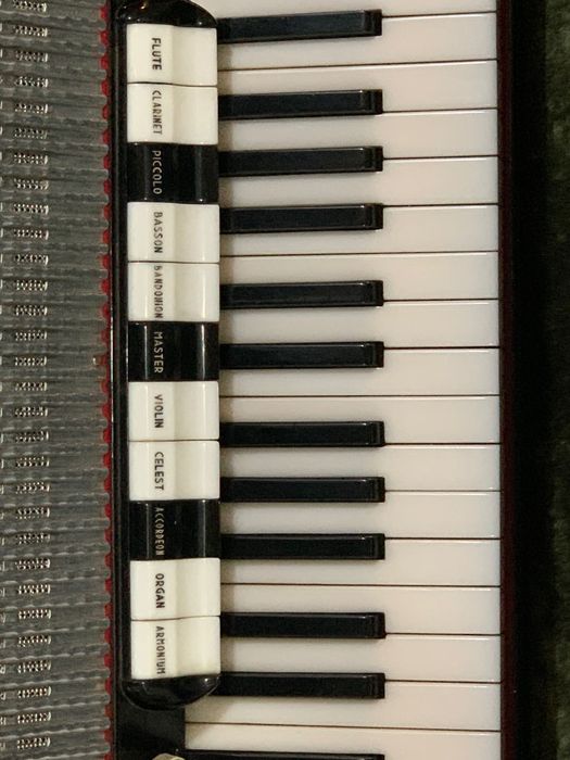 Acordeon Layolo cu cameră 3+1 Piccolo