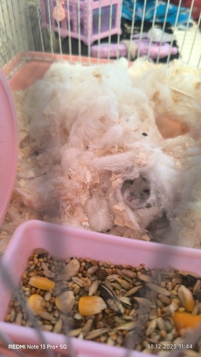 Продам клетку для хомяков