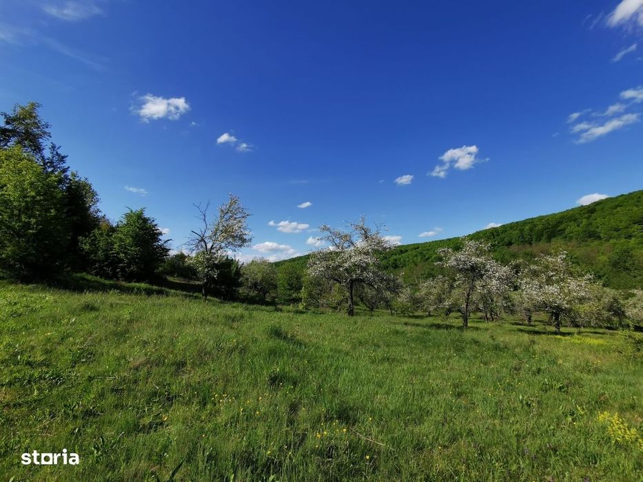 Teren de Vânzare, Budeasa Mica – Potrivit pentru Casă de Vacanță sau I