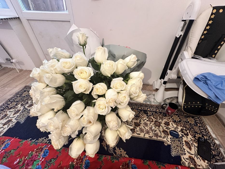 Продам цветы буу