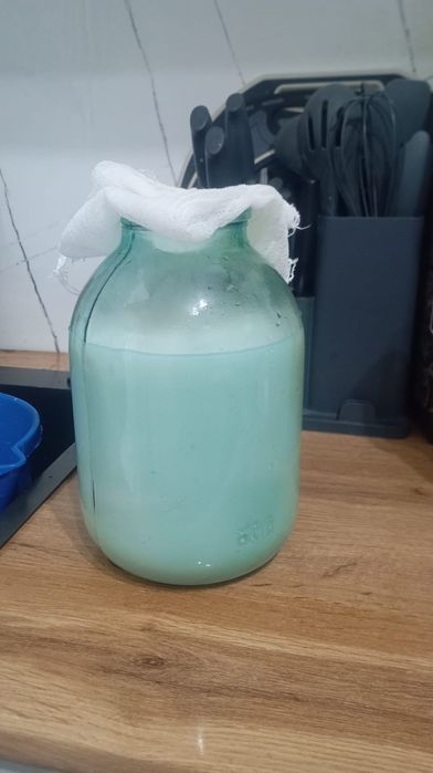 Продам козу англо нубика