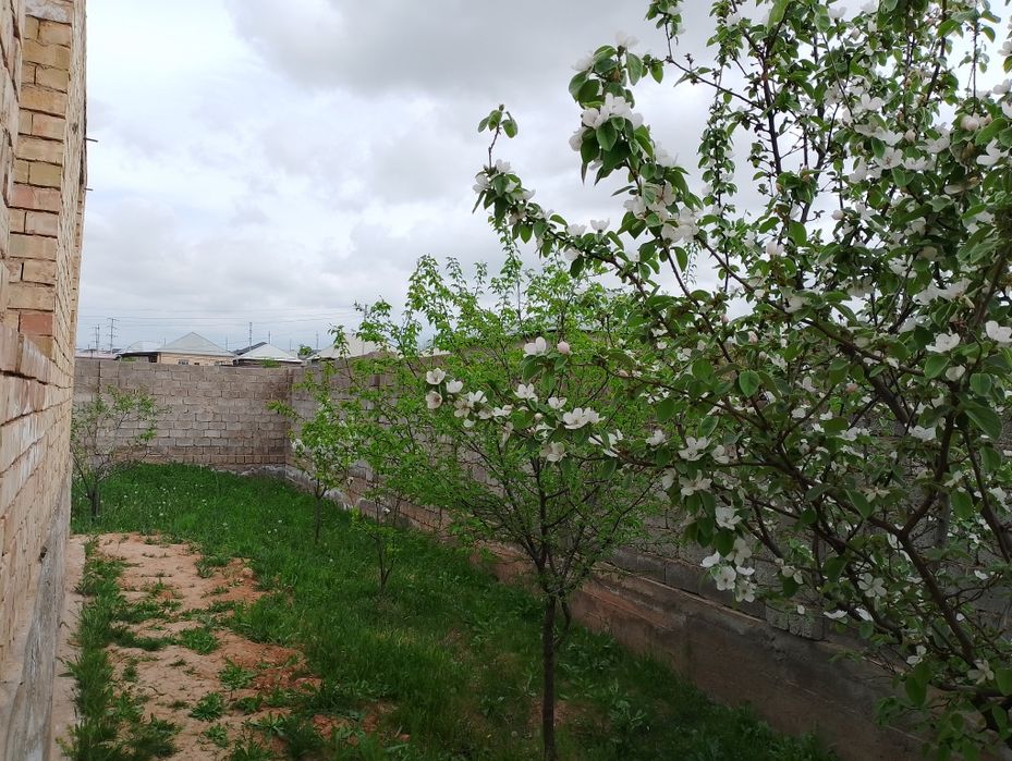 Сарыағаш Самал 2 Естемес ұлы көше