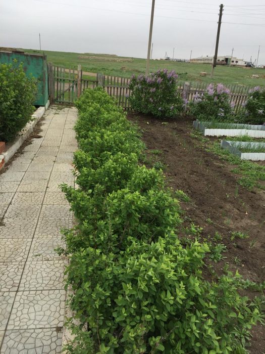 Продам дом не далеко от поселка Бурабай