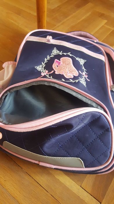 Ученическа раница (с ортопедичен/ергономичен гръб)