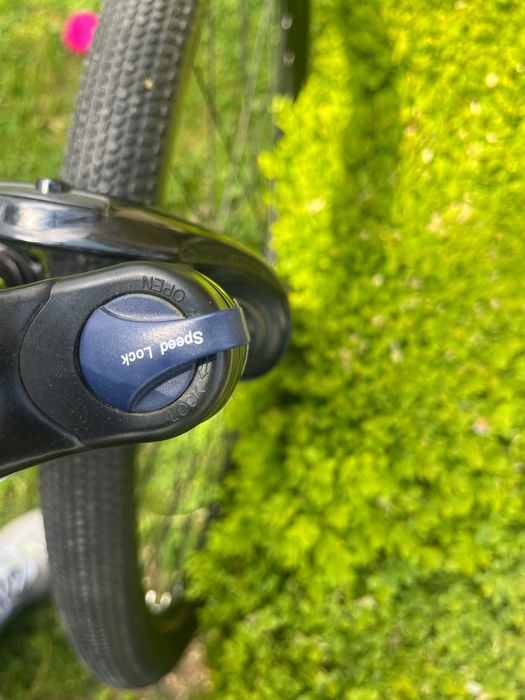 Trek Dual sport 2 Alpha gold