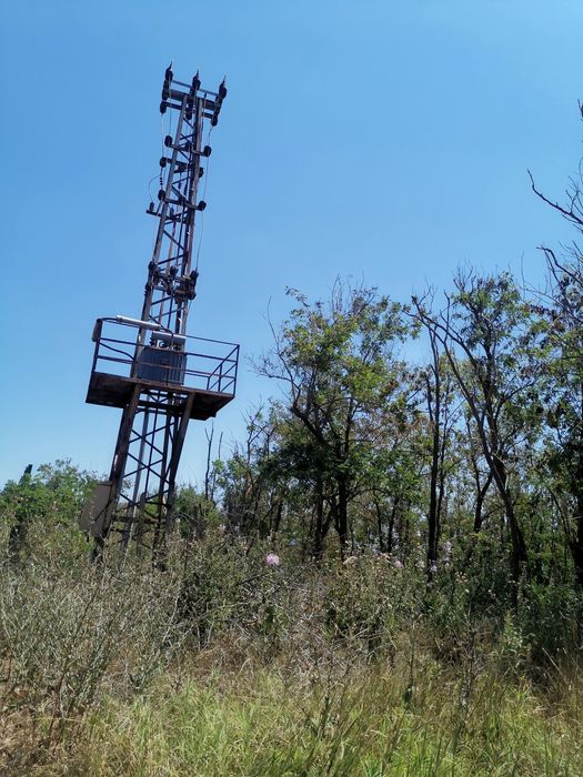 Продава се Земеделски имот в Добрич, Пинета -  кв.м за 30000 €/дка - Снимка #5