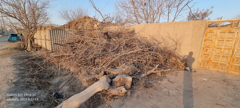 O'tn hoda va yana boshqa lar