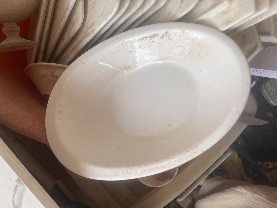 Тарелка для кафе