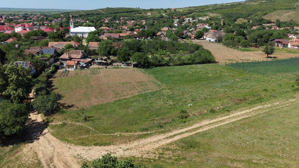 Intravilan în comuna Covasint,ideal pentru construcție casa de vacanta