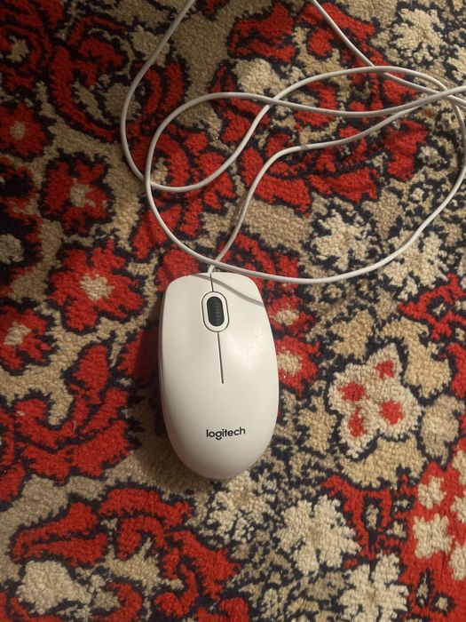Мышка Logitech B100