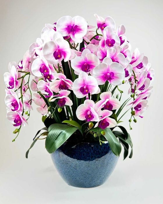 Аранжирана кашпа с орхидеи
