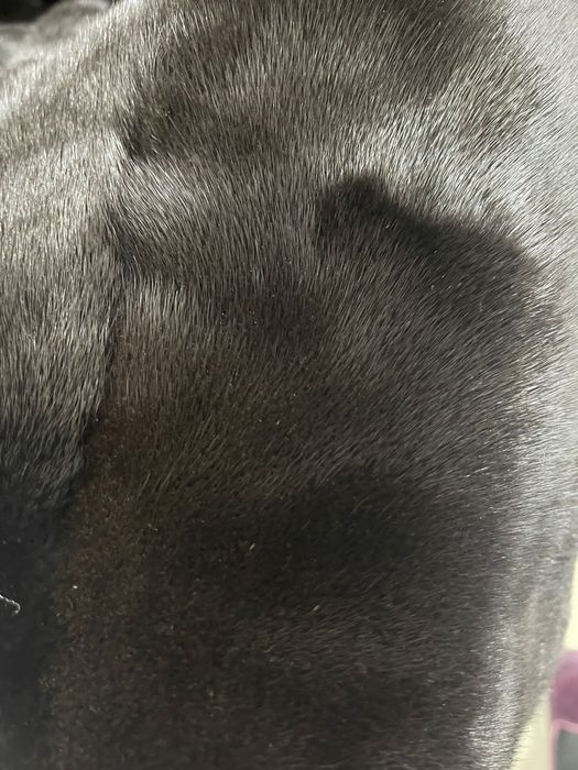 Греческая Шуба Аванти