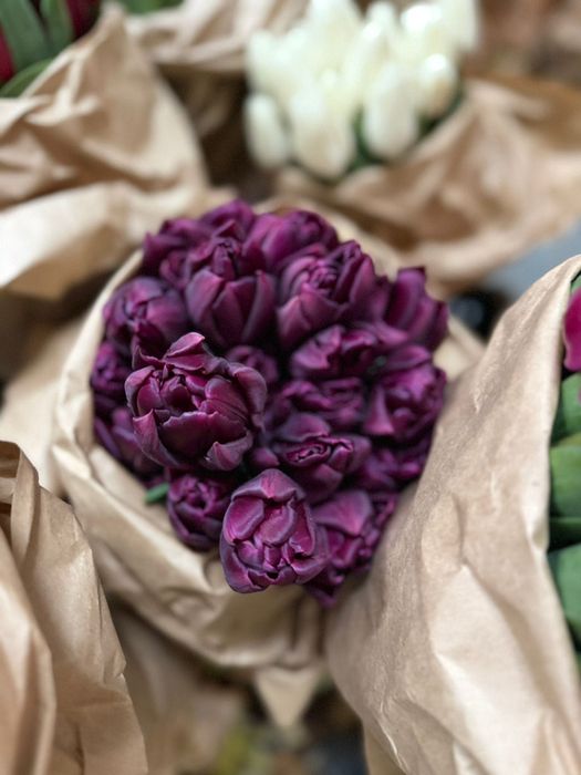 Тюльпаны для корпоратива