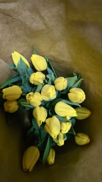Тюльпаны доставка цветы