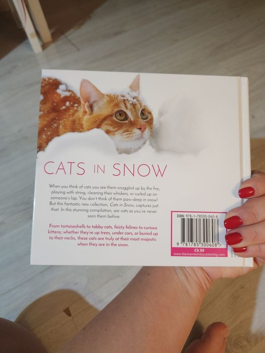 Carte Cat in snow