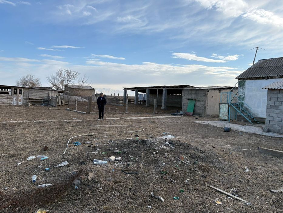 Фазенда мал баққанға өте ыңғайлы