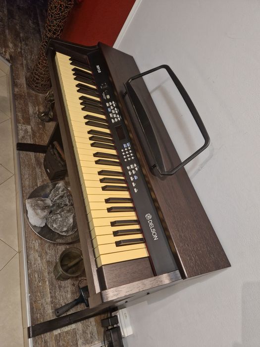 Pian electric Delson