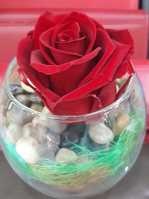 Вечна роза в стъкло – Подарък, който остава завинаги