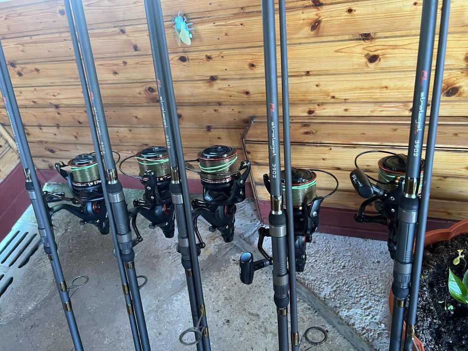 Lansete FL Strategist