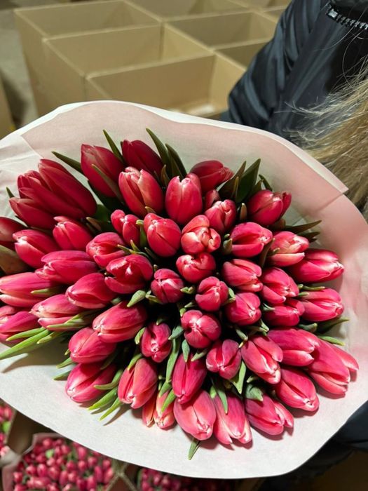 Тюльпаны оптом от 350 тг