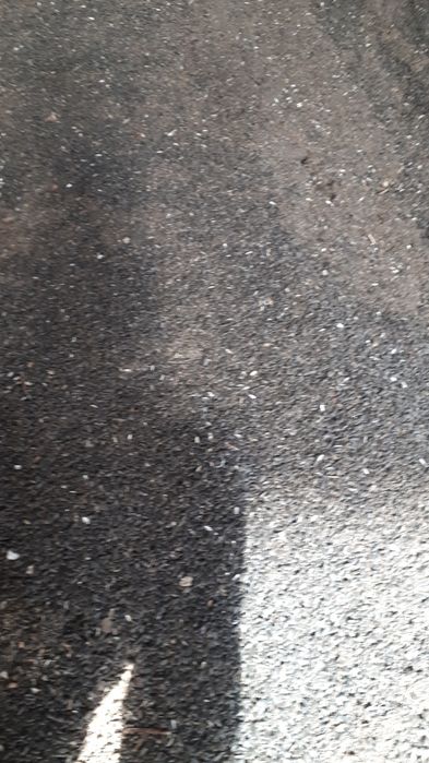 Продам отход подсолнечника