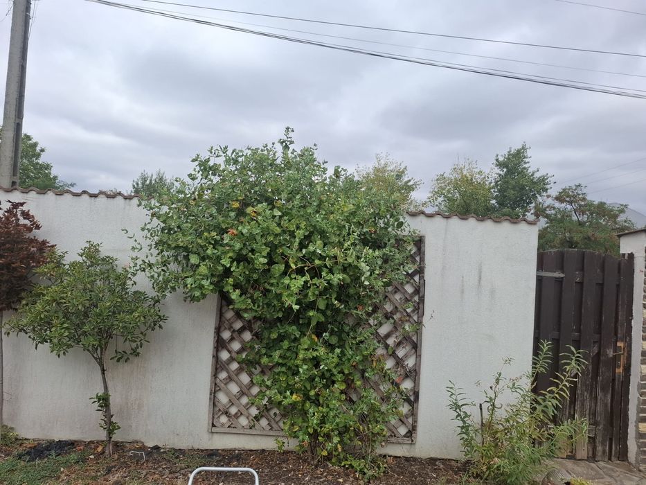 Vand casa in bujac