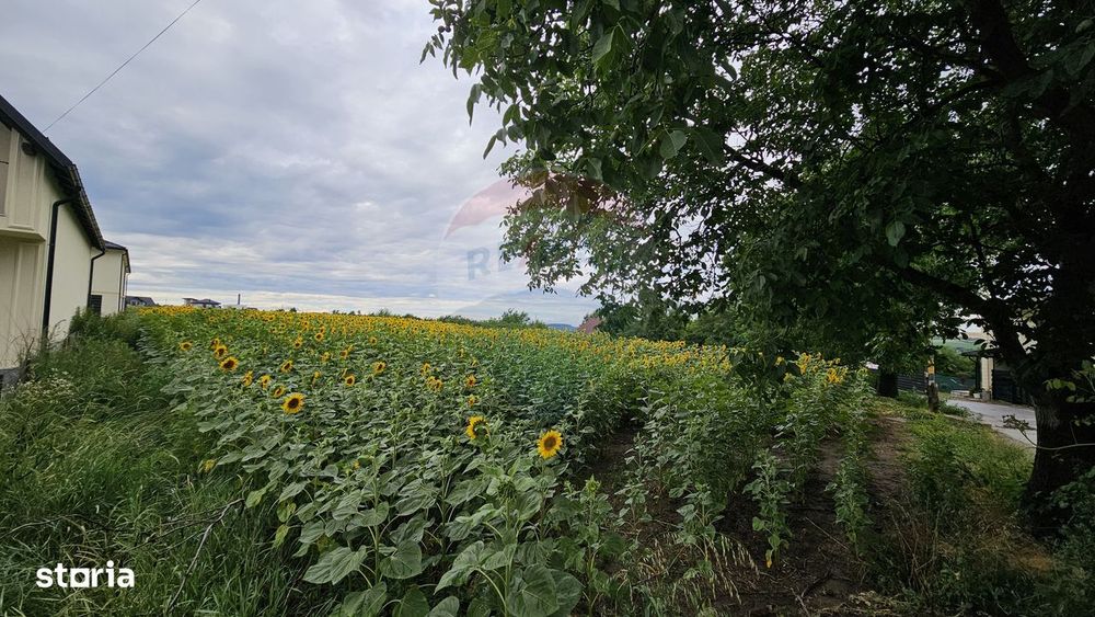 Teren intravilan 2600 mp de vânzare, Ipotești- Lisaura, Suceava