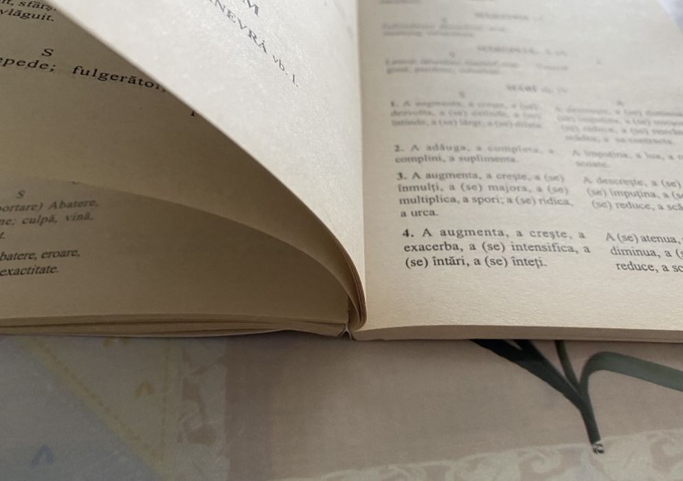 Zorela Creta-Dictionar omonime sinonime paronime antonime