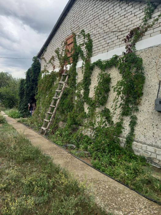 Продаем дом в холодном ключе