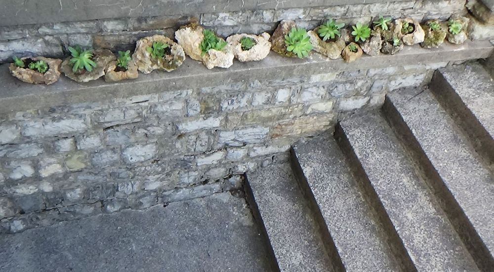 Камъни за украса на дома и градината