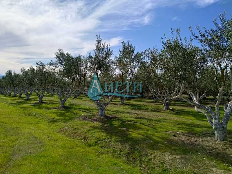 Продава се Парцел в София, Студентски град - 2000 кв.м за 6 €/кв.м - Снимка #2