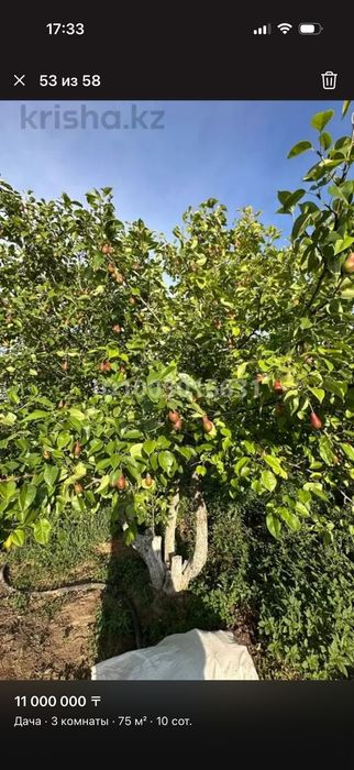 Продается Дача на баме