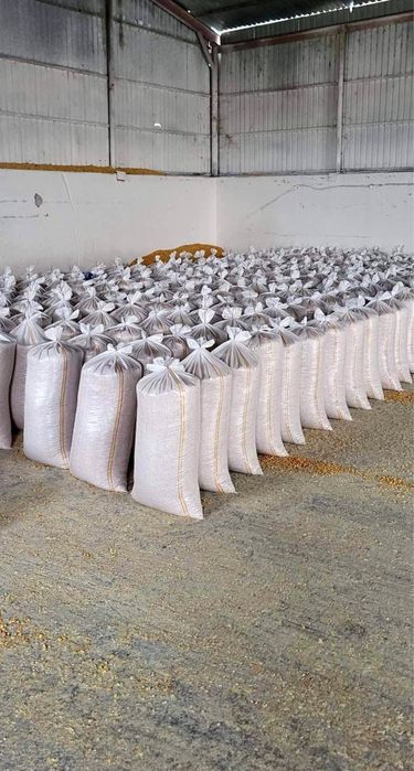 Vând porumb uscat gata pus in saci cu transport la domiciliu