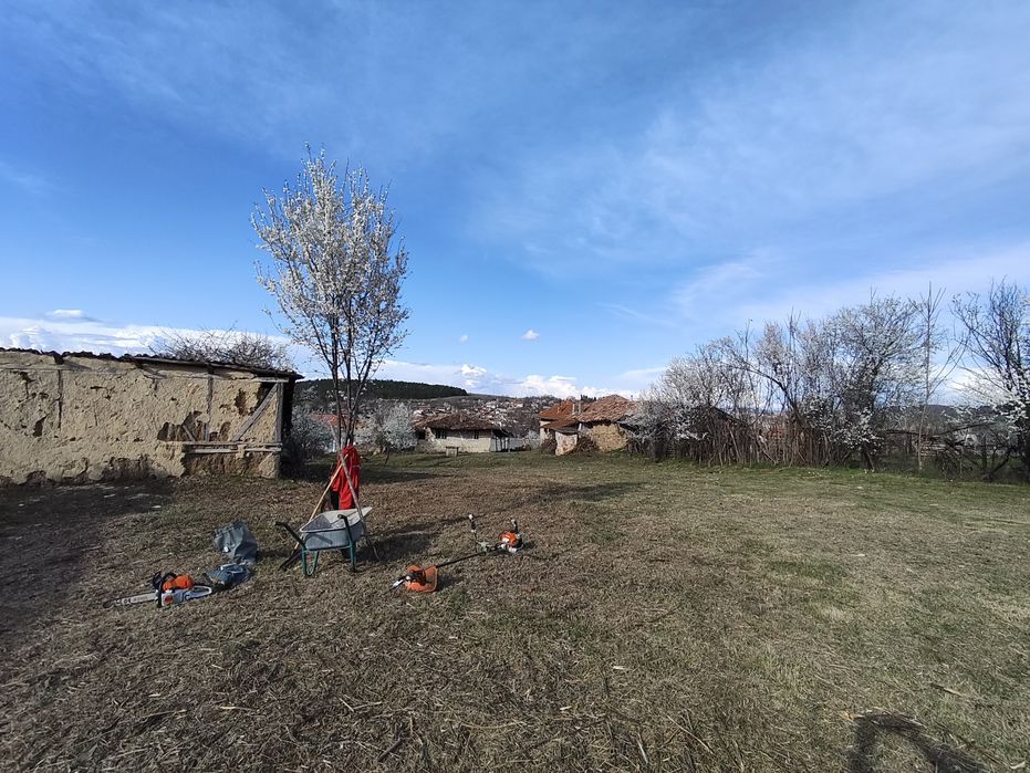 Косене и почистване на дворове.