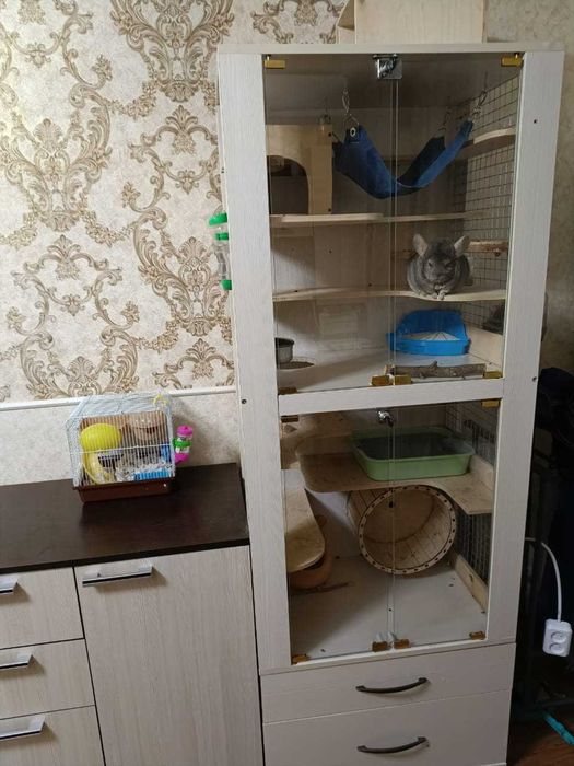 Домашняя витрина для домашнего питомца