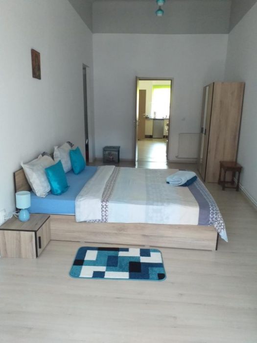 Apartament EMA Central regim hotelier 2-4 pers.