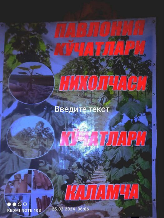 Павлоня кочатлар бор