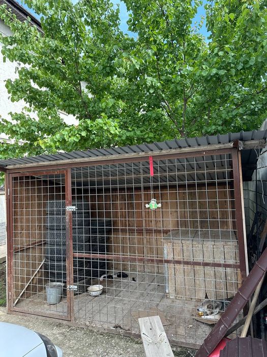 Валлер для собак