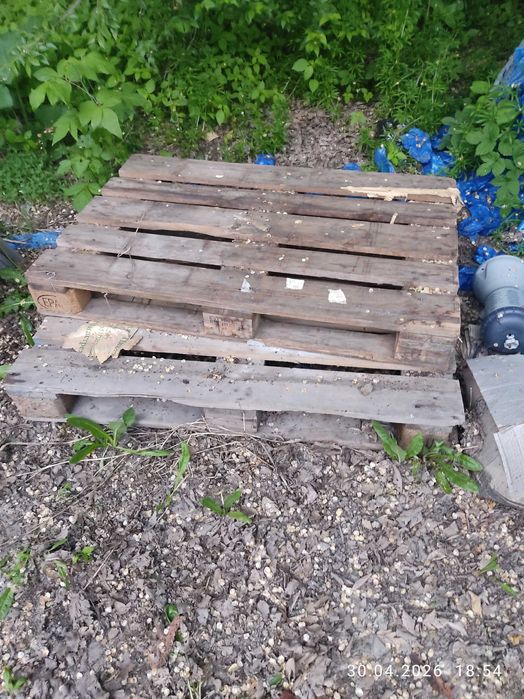 Дрова отдам бесплатно самовывозом