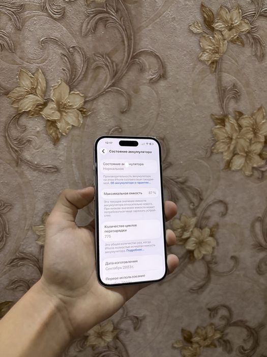 IPhone 15 256gb 87%