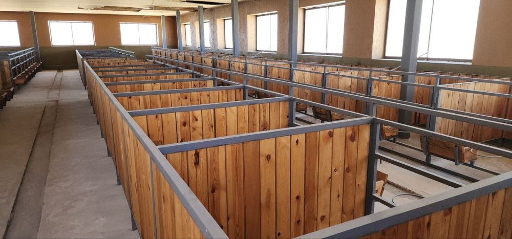 Ферма Ferma готовый бизнес